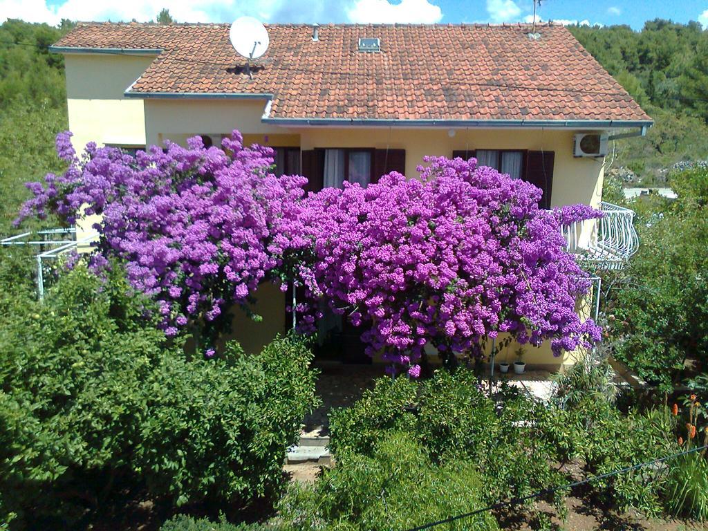 Apartments Runac Stari Grad  Extérieur photo